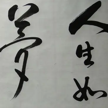 240